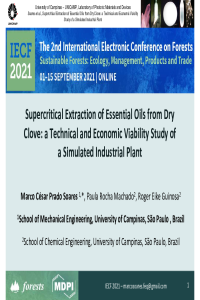 IECF 2021 - SFE Feasibility - MCP Soares.pdf