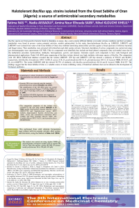 sciforum-063177.pdf