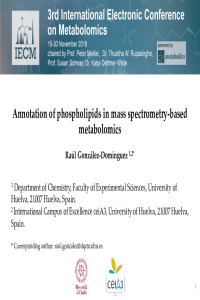 presentation-021705.pdf