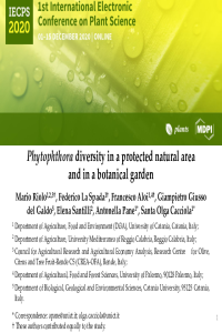 presentation_Cacciola_Riolo et al_Phytophthora.pdf