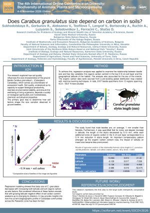 poster image