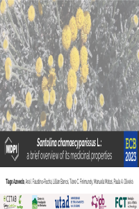 Presentation_ECB 2023.pdf