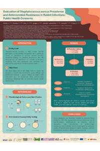 Poster_Animals.pdf