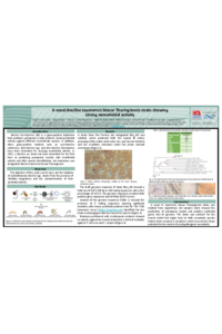sciforum-072666.pdf