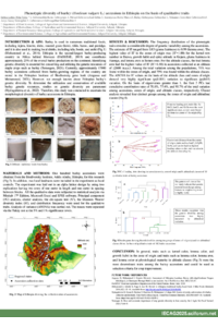 Poster IECAG 2025.pdf