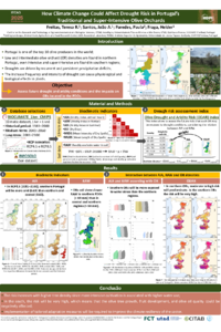 poster_iecag.pdf