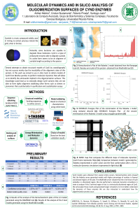 PanelCYNDTalca.pdf