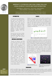 Poster_FilippovaEA.pdf