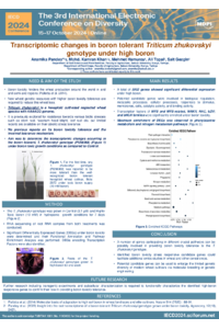 Poster_096857_AP.pdf