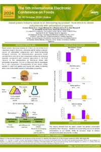 Template poster Grimaut Denise 2024.pdf