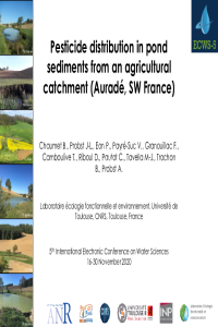 sciforum-039362-presentation.pdf