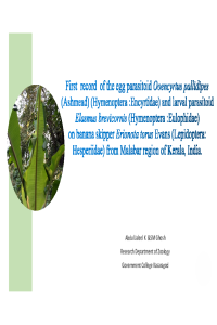 ppt jaleel.pdf