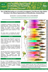 Poster.pdf