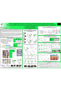 NG_MDPI_POSTER 2024.pdf
