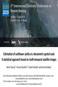 E-conference_Sunflower_2019_Fieuzal_Presentation.pdf