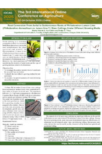 Guirindola_sciforum-135481.pdf