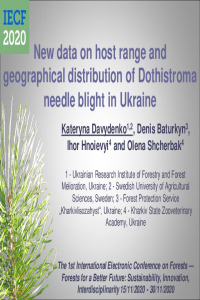 Davydenko_DNB_IECF 2020.pdf