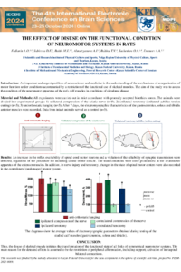 Fedianin_et_al_IECBS_2024.pdf