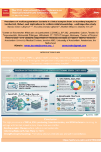 sciforum-178295 poster.pdf