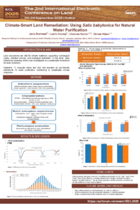 IECL 2025 Poster saule.pdf