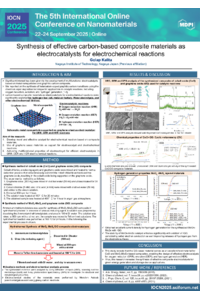 IOCN 2025_sciforum-129965.pdf
