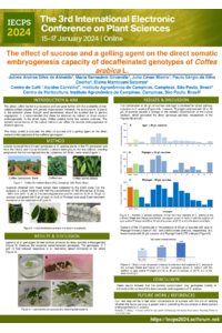 sciforum-084684 - Julieta Almeida x 17 01 24.pdf