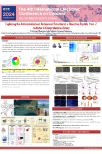 IECC 2024 Sciforum-085313.pdf