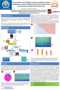 Iman_Antibiotics_Poster_Final_18052022.pdf