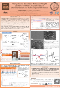 ER-sciforum-142834.pdf