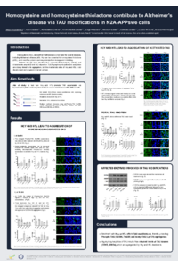 Homocysteine and homocysteine thiolactone contribute to Alzheimer's disease via TAU modifications in N2A-APPswe cells.pdf