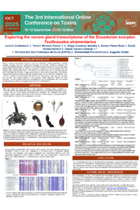 Exploring the venom gland transcriptome of the Ecuadorian scorpion Teuthraustes atramentarius.pdf
