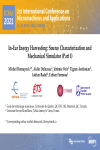 ICMA_presentation_mdemuynck.pdf