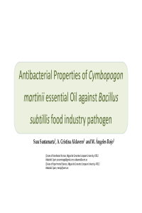 presentation-037404.pdf