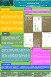 Poster for conference.1..pdf