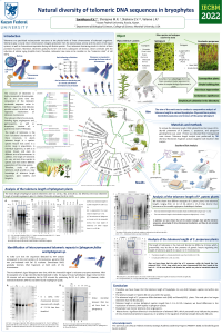 MDPI poster_Sannikova_AV.pdf