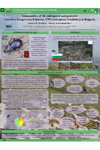 Poster_2025_IECE_Carabus hungaricus_Bulgaria_communities_sciforum-112587.pdf