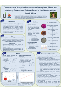 IECE_Poster_M Ludick.pdf