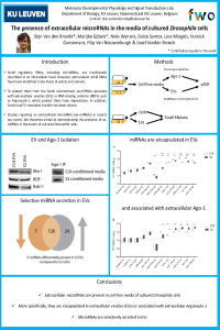 sciforum-046566-poster.pdf