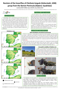 sciforum-046300-poster.pdf