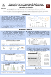 ECA 2023_poster_VIA.pdf