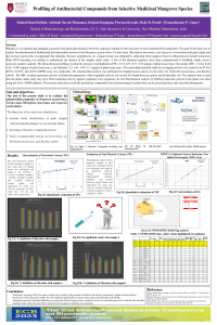 sciforum-069652_ECB2023_PMMA_Final.pdf