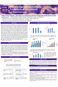 IECAN 2025 poster.pdf