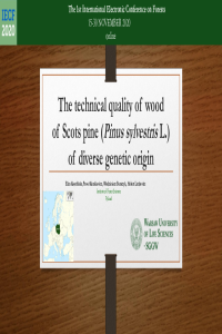 The technical quality of wood of Scots pine (Pinus sylvestris L.) of diverse genetic origin.pdf