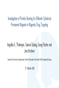 037807 Präsentation_MDPI.pdf