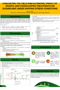 Slindile Brightness Sithole.pdf