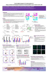 poster for 6th ECMC.pdf