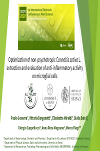 iecps_2020_governa.pdf