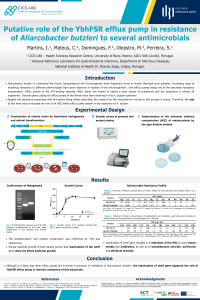 InesMartins_PosterECA2022.pdf
