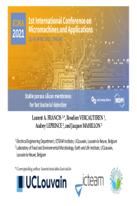 Sciforum 044722 L Francis .pdf