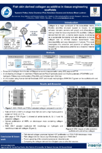 [IOCBE2024] sciforum-097364.pdf